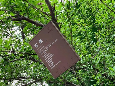 無障礙高檔小區(qū)標(biāo)識如何設(shè)計